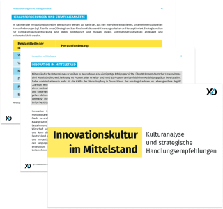 Vorschau einzelner Seiten aus dem Whitepaper Innovationskultur in Mittelstand